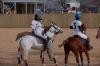 Oxford Polo 2022_12_11 0003